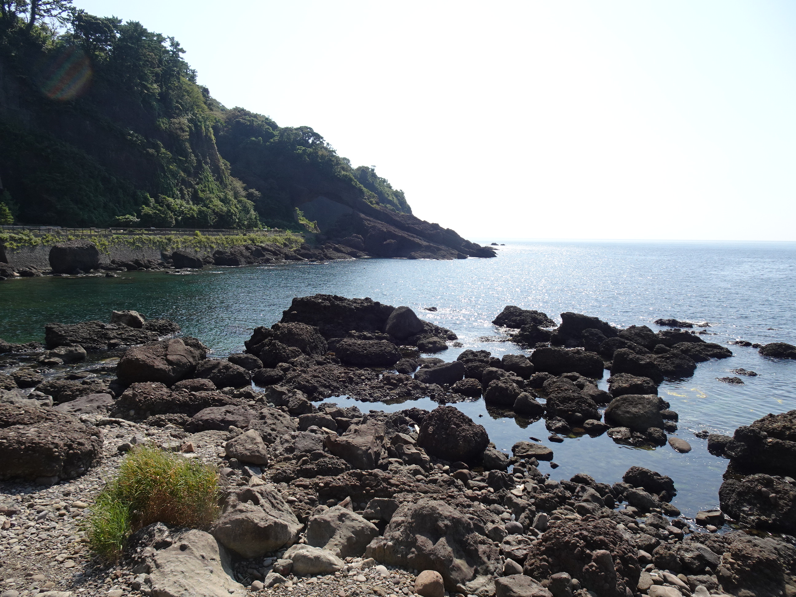 DSC01985.JPG