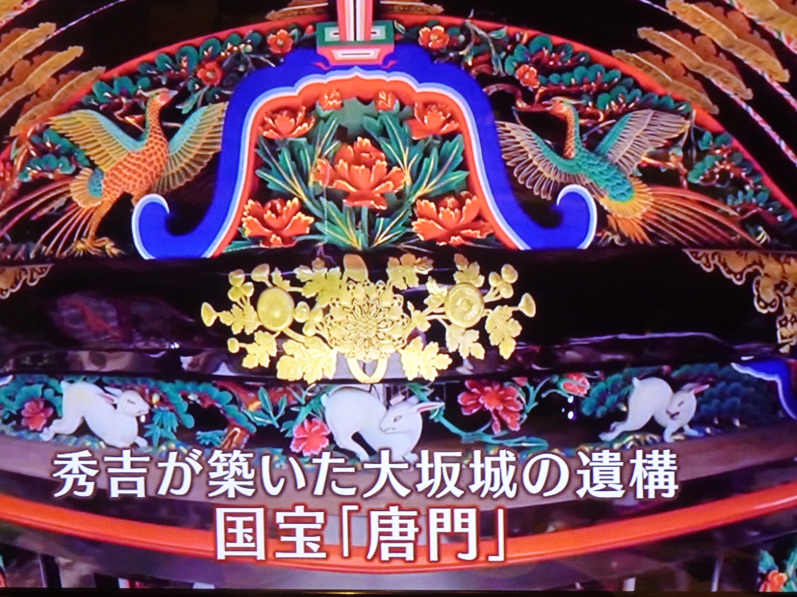 DSC02529.JPG